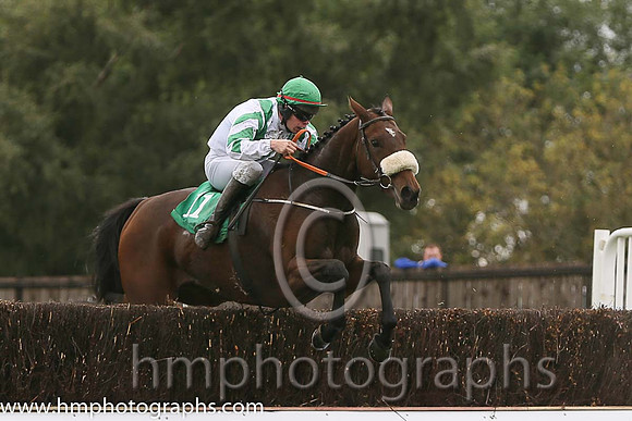 09th PU Meadowlands ( 11 , white, emerald green chevron ) and S.E. Butler (5) - Trainer : Peter Fahey - Owner : P.J.W. Byrne