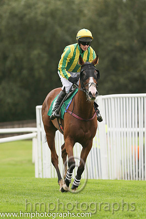 12th PU Who's Cross ( 6 , emerald greena dn yellow stripes ) and D.J. Mullins (3) - Trainer : John Patrick Ryan - Owner : Declan Donohoe