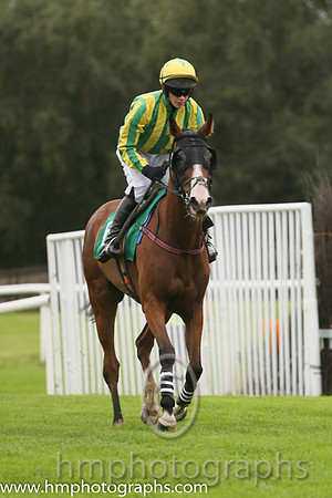 12th PU Who's Cross ( 6 , emerald greena dn yellow stripes ) and D.J. Mullins (3) - Trainer : John Patrick Ryan - Owner : Declan Donohoe