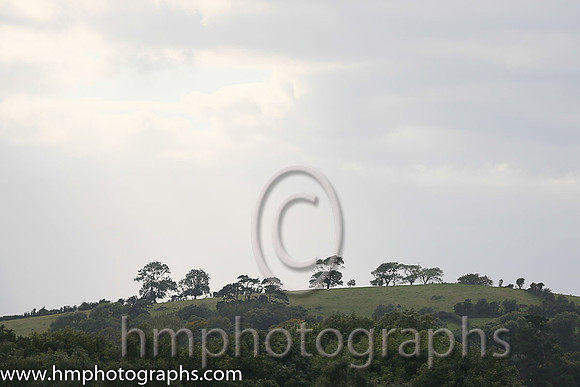 Downpatrick Race Course