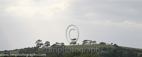 Downpatrick Race Course