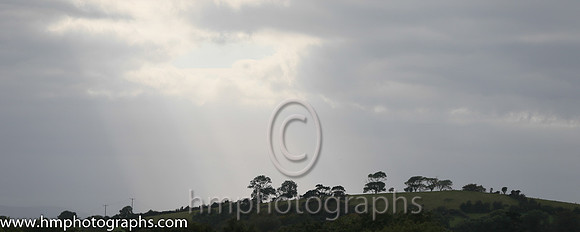 Downpatrick Race Course