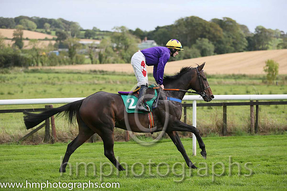 02nd Don Vincenzo ( 2 , purple ) and S.W. Flanagan - Trainer : Colin Bowe - Owner : Mob Partnership