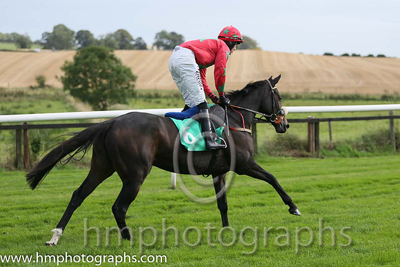03rd Padraig's Joy ( 6 , red, emerald green star ) and Shane Shortall (5) - Trainer : David Harry Kelly - Owner : Brandy  Baileys Syndicate
