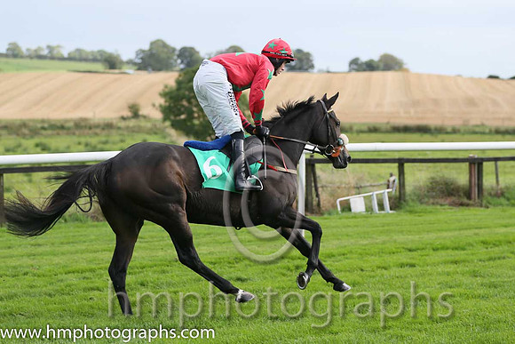 03rd Padraig's Joy ( 6 , red, emerald green star ) and Shane Shortall (5) - Trainer : David Harry Kelly - Owner : Brandy  Baileys Syndicate