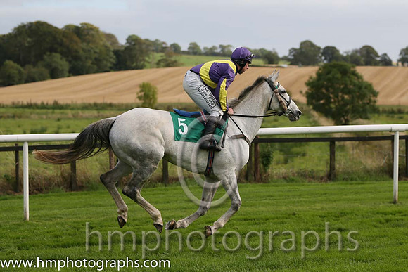 07th Nimble Nell ( 5 , purple, yellow cross sashes ) and A.E. Lynch - Trainer : Raymond Hurley - Owner : James Anthony Casey
