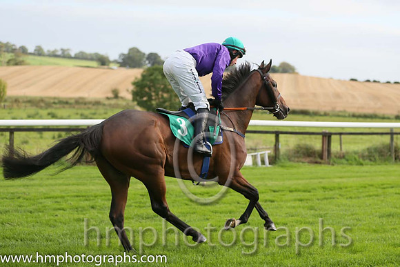 01st Gold Patrol ( 3 , purple, green cap ) and M.P. Fogarty - Trainer : Colin Bowe - Owner : Mountfinn Racing Partnership