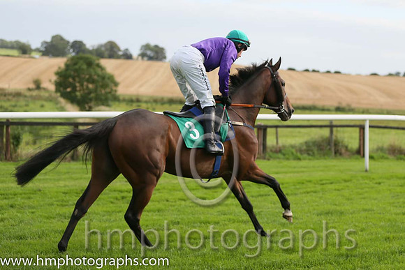01st Gold Patrol ( 3 , purple, green cap ) and M.P. Fogarty - Trainer : Colin Bowe - Owner : Mountfinn Racing Partnership