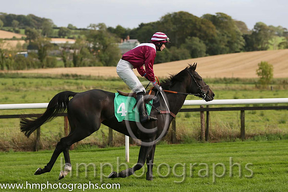 06th Mr Mulliner ( 4 , maroon, white chevron ) and D.R. Fox (3) - Trainer : Mark Michael McNiff - Owner : Mrs M Carton