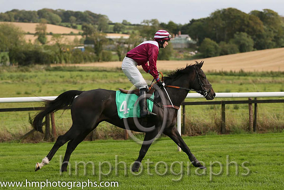 06th Mr Mulliner ( 4 , maroon, white chevron ) and D.R. Fox (3) - Trainer : Mark Michael McNiff - Owner : Mrs M Carton