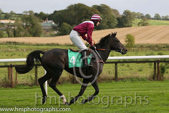 06th Mr Mulliner ( 4 , maroon, white chevron ) and D.R. Fox (3) - Trainer : Mark Michael McNiff - Owner : Mrs M Carton