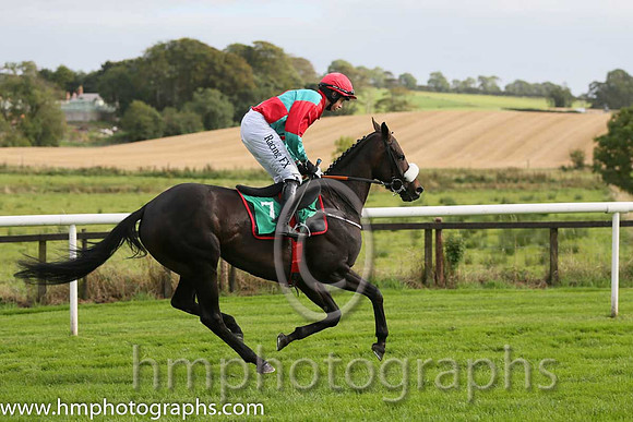 05th Western Home ( 7 , emerald greena and red qtrd ) and B.J. Cooper - Trainer : Gordon Elliott - Owner : R.E. Burroughs