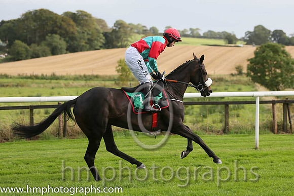 05th Western Home ( 7 , emerald greena and red qtrd ) and B.J. Cooper - Trainer : Gordon Elliott - Owner : R.E. Burroughs