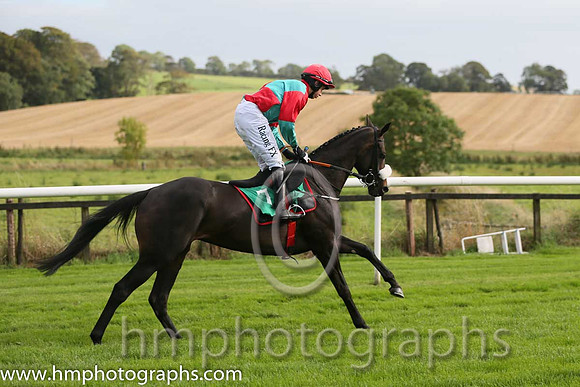 05th Western Home ( 7 , emerald greena and red qtrd ) and B.J. Cooper - Trainer : Gordon Elliott - Owner : R.E. Burroughs