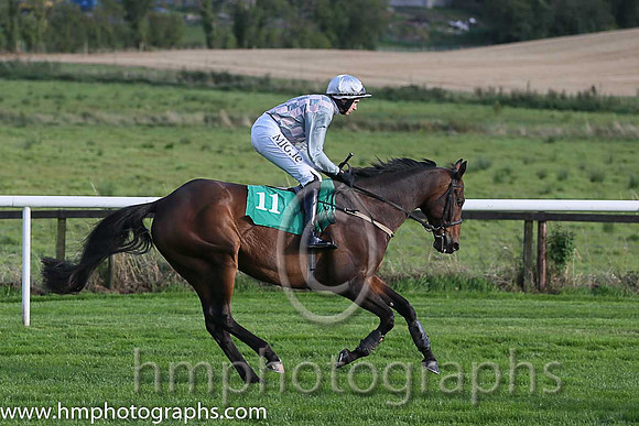 08th Comme Je Trouve ( 11 , pink and grey check ) and A.P. Heskin - Trainer : Shane Kieran Ryder - Owner : Joseph Grace