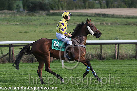 Breffni Gael ( 12 , yellow, purple stars ) and R.C. Colgan - Trainer : M.V.Manning - Owner : Pennyhill Punters Club