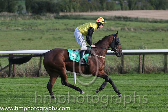 01st Killeen Elegance ( 8 , yellow, black sleeves ) and A.E. Lynch - Trainer : Ms Claire O'Connell - Owner : J. A. O'Connell/Mrs Berna O'Sullivan