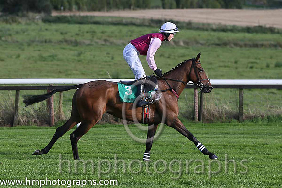 09th PU Willow Grange ( 3 , maroon, pink sleeves ) and D.J. Mullins (3) - Trainer : John Patrick Ryan - Owner : John Patrick Ryan