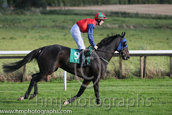 06th Paudi The Punter ( 9 , red, dark blue sleeves ) and J.S. McGarvey (3) - Trainer : G. Webb - Owner : Michael G Mee