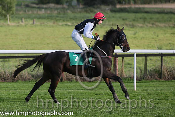 10th High Talk ( 7 , black, white seams ) and D.R. Fox (3) - Trainer : Mark Michael McNiff - Owner : Jeffrey Fox