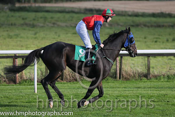 06th Paudi The Punter ( 9 , red, dark blue sleeves ) and J.S. McGarvey (3) - Trainer : G. Webb - Owner : Michael G Mee