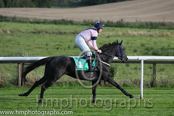 04th Galboystown Lady ( 4 , pink, dark blue chevron ) and B.M. Cash - Trainer : Aidan Anthony Howard - Owner : D. Cunning