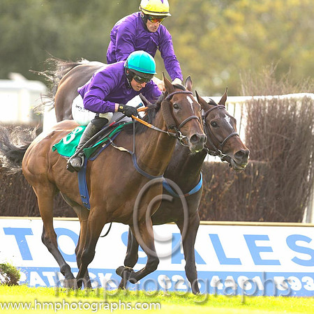 01st Gold Patrol ( 3 , purple, green cap ) and M.P. Fogarty - Trainer : Colin Bowe - Owner : Mountfinn Racing Partnership