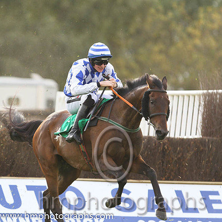 04th Battling Boru ( 1 , blue, light blue diamonds ) and D.E. Mullins - Trainer : Anthony Mullins - Owner : Shoot A Hoop Syndicate