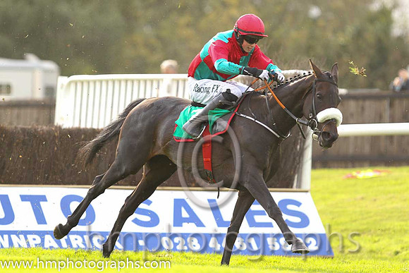 05th Western Home ( 7 , emerald green and red qtrd ) and B.J. Cooper - Trainer : Gordon Elliott - Owner : R.E. Burroughs