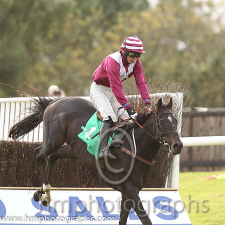 06th Mr Mulliner ( 4 , maroon, white chevron ) and D.R. Fox (3) - Trainer : Mark Michael McNiff - Owner : Mrs M Carton