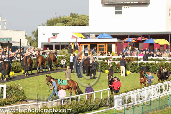 \Downpatrick Parade Ring