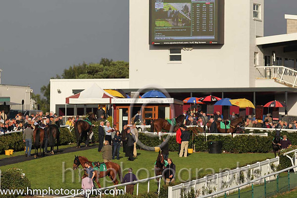 Parade Ring at Downpatrick Racecourse
