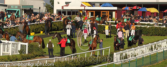 Parade Ring at Downpatrick Racecourse