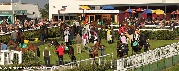 Parade Ring at Downpatrick Racecourse