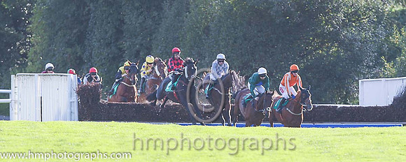 07th Tomcoole Lad ( 10 , dark green , royal blue diamond ) and B.R. Dalton (3) - Trainer : L. Byrne - Owner : Donal Doyle