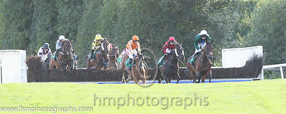 07th Tomcoole Lad ( 10 , dark green , royal blue diamond ) and B.R. Dalton (3) - Trainer : L. Byrne - Owner : Donal Doyle