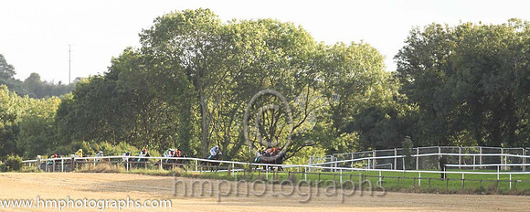Racing at Downpatrick Racecourse