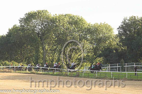 Racing at Downpatrick Racecourse