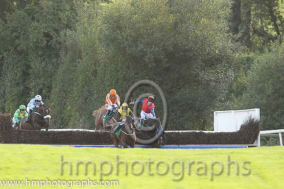 01st Killeen Elegance ( 8 , yellow, black sleeves ) and A.E. Lynch - Trainer : Ms Claire O'Connell - Owner : J. A. O'Connell/Mrs Berna O'Sullivan