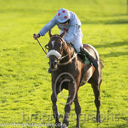 02nd Admiral Bob ( 13 , light blue, red triple diamond ) and M.P. Butler - Trainer : Ms Helen P.Markham - Owner : John Markham