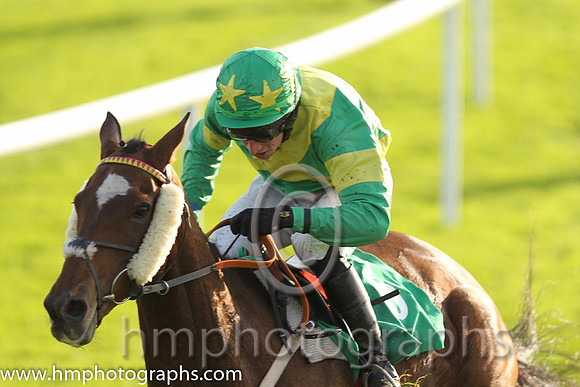 05th Captain Luke ( 6 , emerald green, yellow cross sashes ) and M.P. Fogarty - Trainer : G.T.Lynch - Owner : Mrs Mary T.Kelly