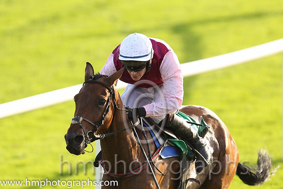 09th PU Willow Grange ( 3 , maroon, pink sleeves ) and D.J. Mullins (3) - Trainer : John Patrick Ryan - Owner : John Patrick Ryan