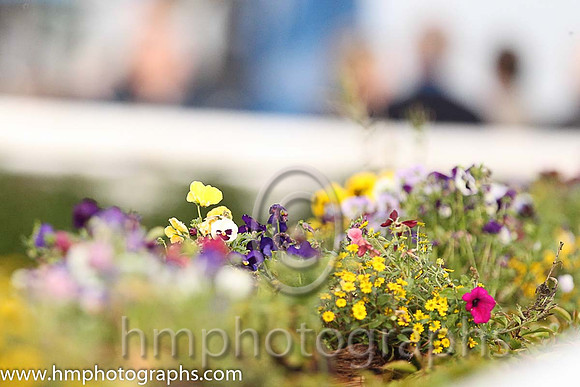 Flowers at Downpatrick Race Course