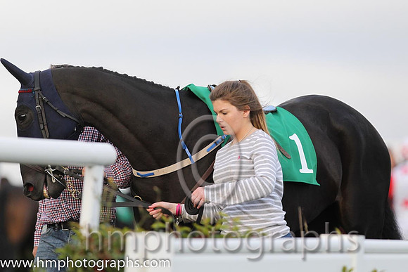 07th Ciaoifsin ( 1 , royal blue, red disc ) and A. Fahey (7) - Trainer : Jarlath P.Fahey - Owner : Mrs Suzanne Fahey