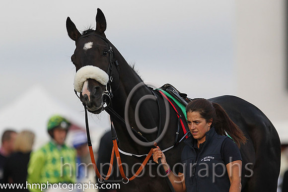 04th Tajseer (USA) ( 7 , dark blue and yellow qtrd ) and N. Carberry - Trainer : Gordon Elliott - Owner : Paul A.Rooney
