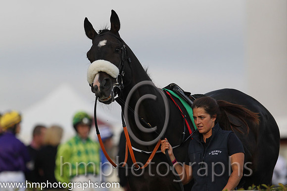 04th Tajseer (USA) ( 7 , dark blue and yellow qtrd ) and N. Carberry - Trainer : Gordon Elliott - Owner : Paul A.Rooney