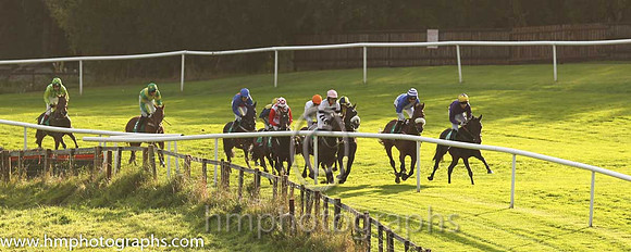 01st Whizzzey Rascal ( 10 , purple, yellow cap ) and F.Maguire (7) - Trainer : Miss Elizabeth Doyle - Owner : BK Racing Partnership
