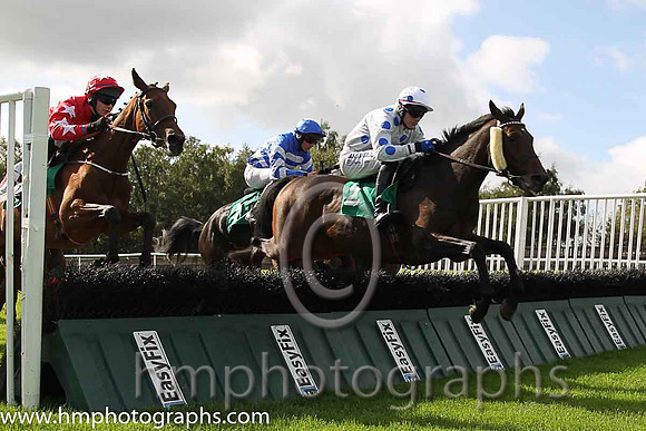 04th Lisa's Legacy (GB) ( 2 , white, royal blue spots ) and G.N. Fox (3) - Trainer : R.P.Burns - Owner : Philip McGee