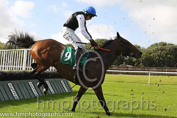 05th Three Hail Marys ( 9 , black and white hlcd ) and M.P. Fogarty - Trainer : Colin Bowe - Owner : Halley Clan Syndic