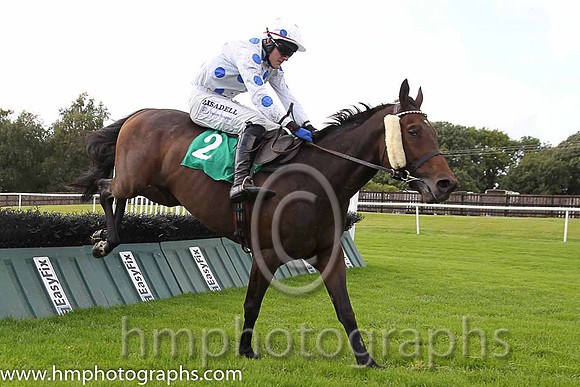 04th Lisa's Legacy (GB) ( 2 , white, royal blue spots ) and G.N. Fox (3) - Trainer : R.P.Burns - Owner : Philip McGee